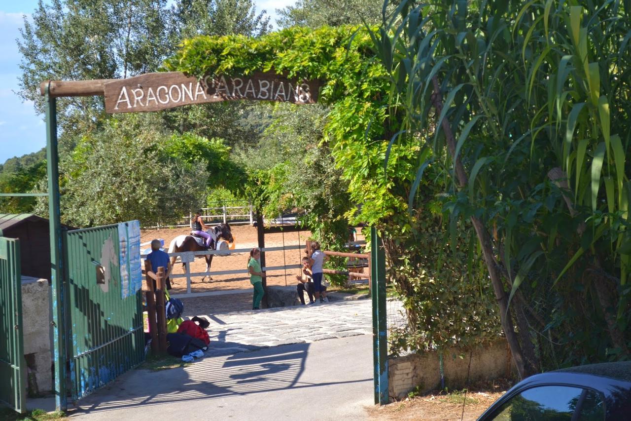 Apartment Il Vigneto