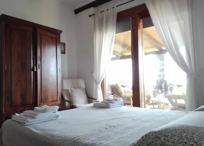 Il Vigneto
