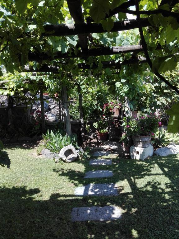 Il Vigneto Appartement Ischia