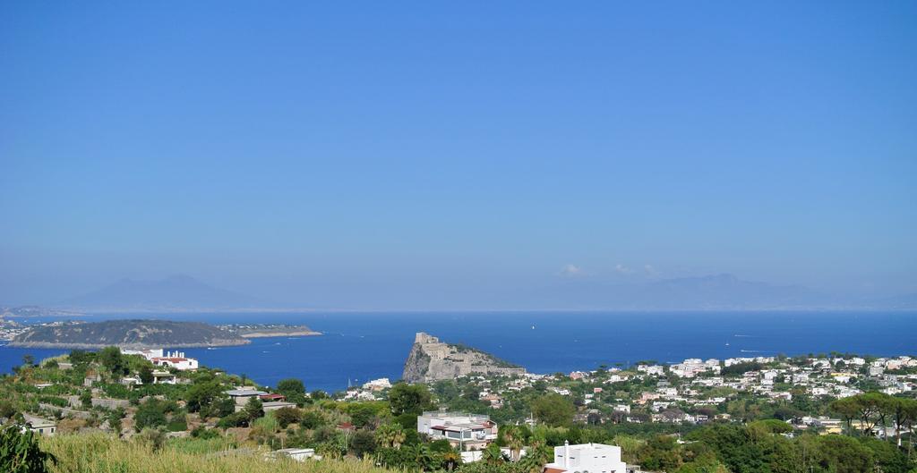 Il Vigneto Appartement Ischia