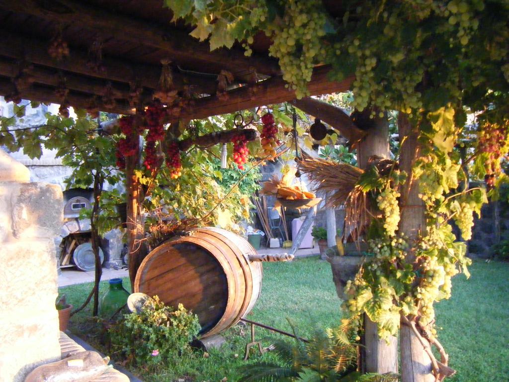 Il Vigneto * Ischia