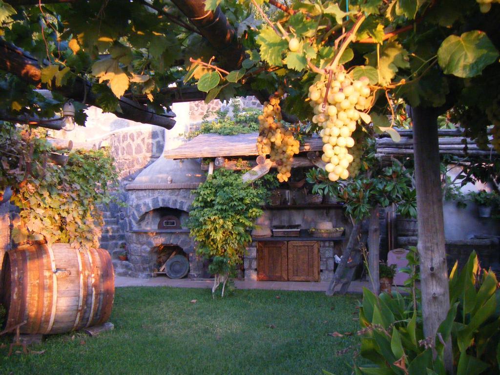 Il Vigneto *
