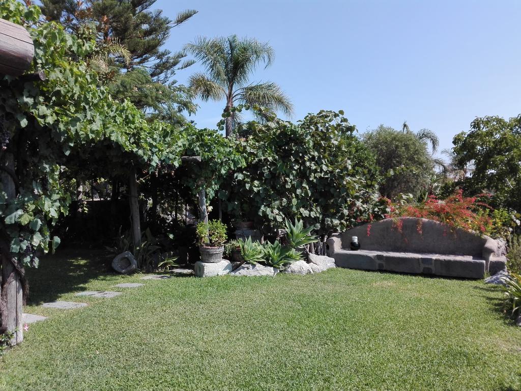 Il Vigneto Appartement *