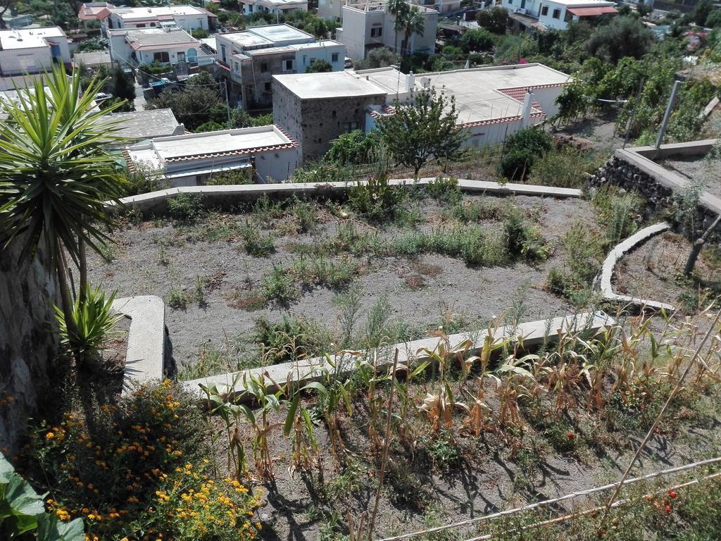 Il Vigneto Appartement *