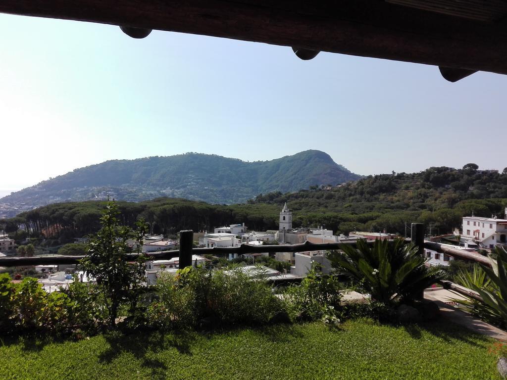 Il Vigneto Appartement Ischia