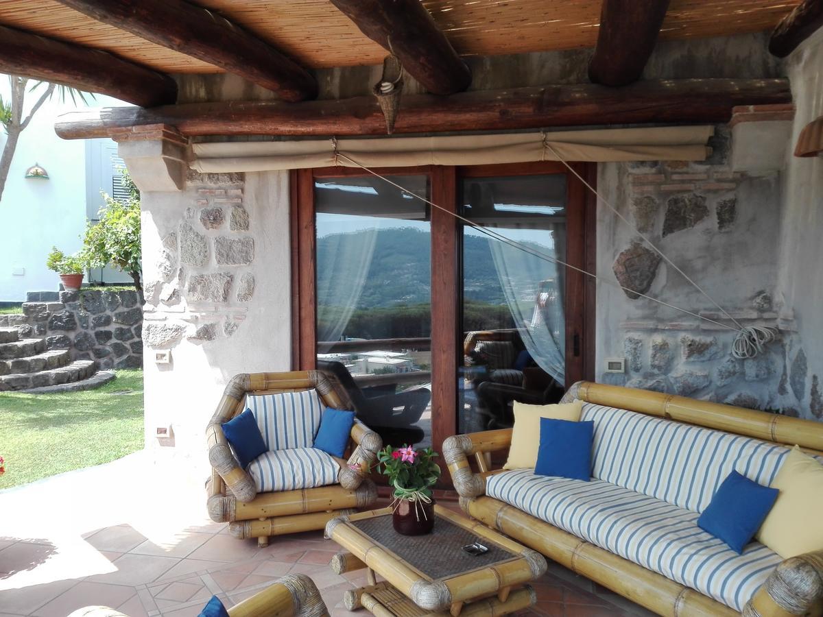 Il Vigneto *