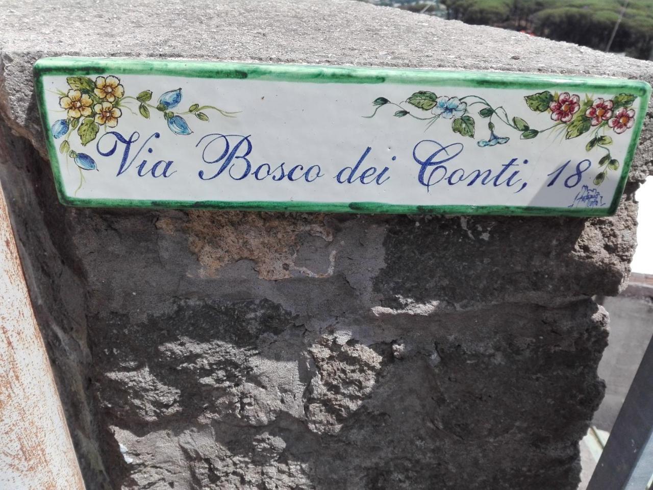 Il Vigneto Appartement *
