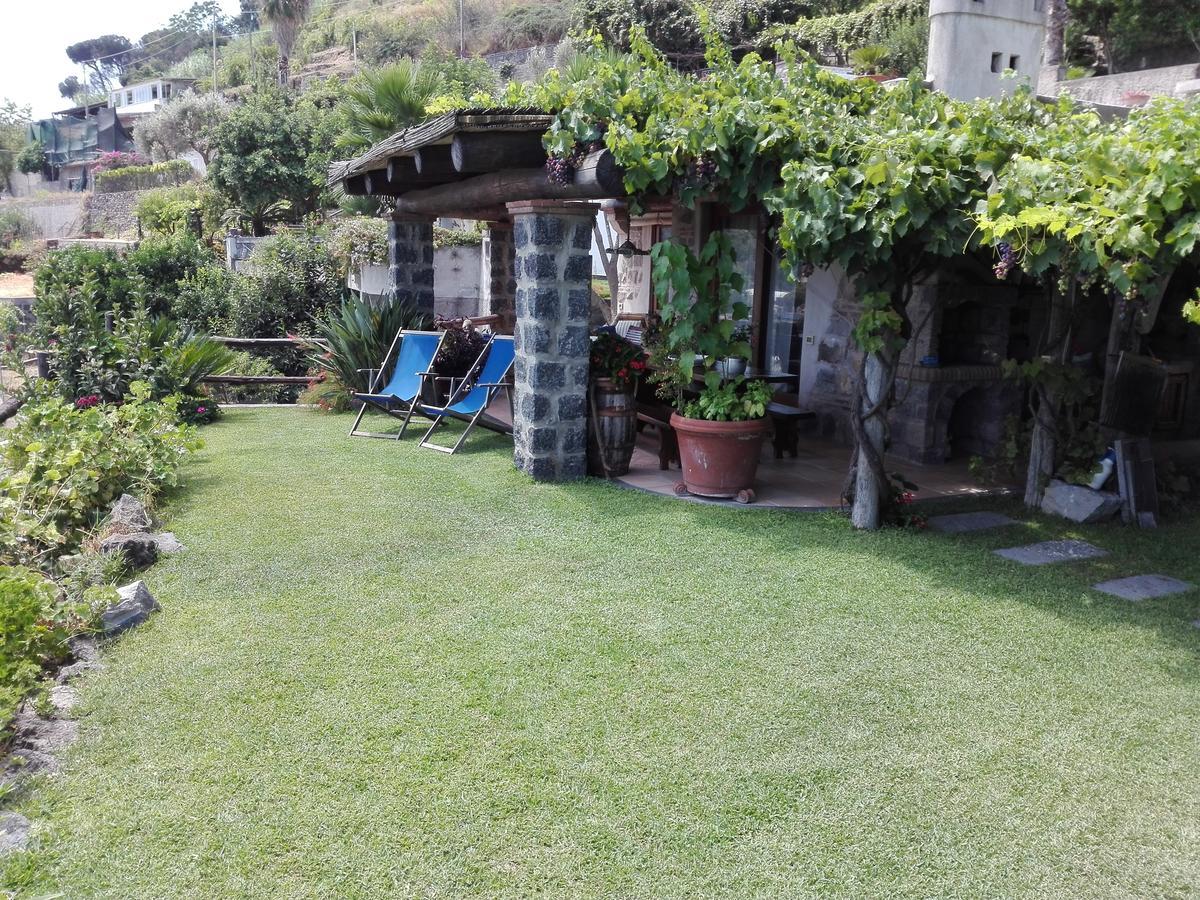 Il Vigneto *