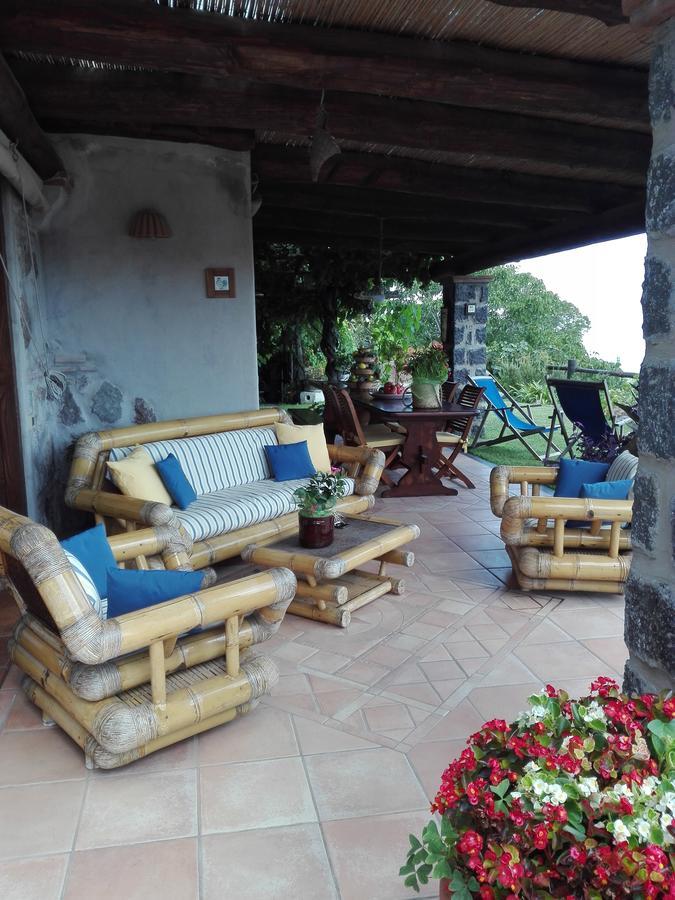 Il Vigneto Appartement