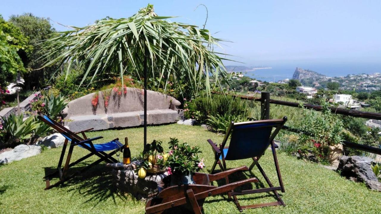Il Vigneto * Ischia